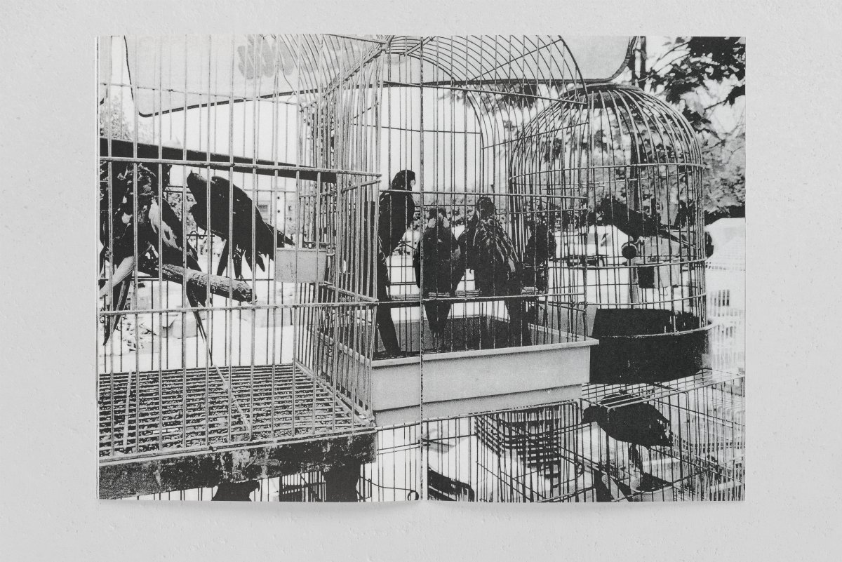 Slide 5